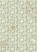 Ciao Bella A5 Rice Papers 8pc - Cabinet of Curiosities - Mixed, CBRS003