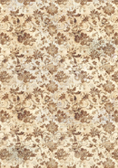 Ciao Bella A5 Rice Papers 8pc - Cabinet of Curiosities - Mixed, CBRS003