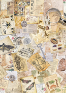 Ciao Bella A5 Rice Papers 8pc - Cabinet of Curiosities - Mixed, CBRS010