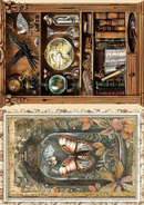 Ciao Bella A5 Rice Papers 8pc - Cabinet of Curiosities - Mixed, CBRS010