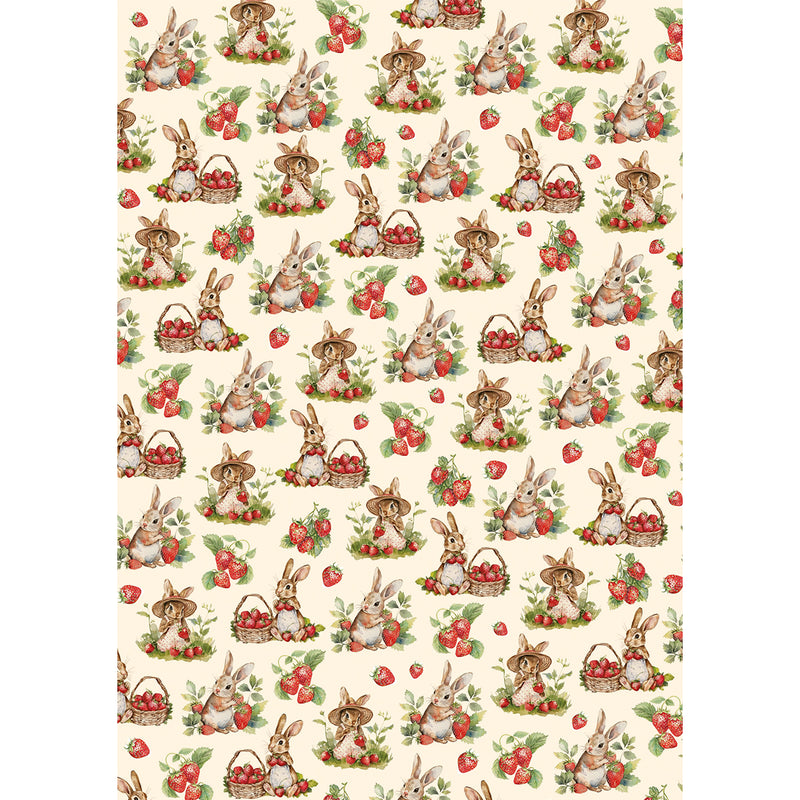 Ciao Bella A5 Rice Papers Mixed 8pc - Woodland Party, CBRS016