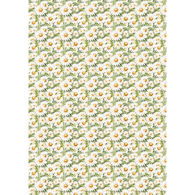 Ciao Bella A5 Rice Papers Mixed 8pc - Woodland Party, CBRS016
