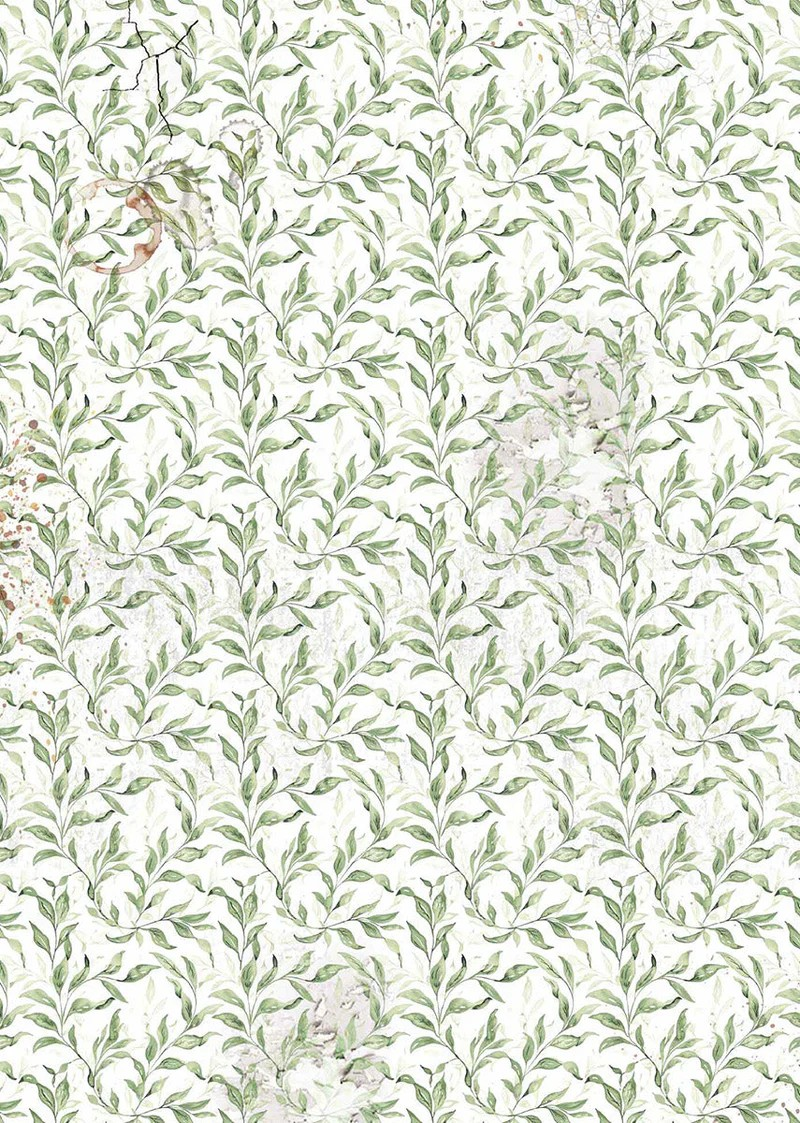 Ciao Bella Vellum Cabinet Of Curiosities Paper - Patterns A4 6pc, CBV024