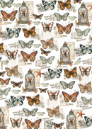 Ciao Bella Vellum Cabinet Of Curiosities Paper - Patterns A4 6pc, CBV024