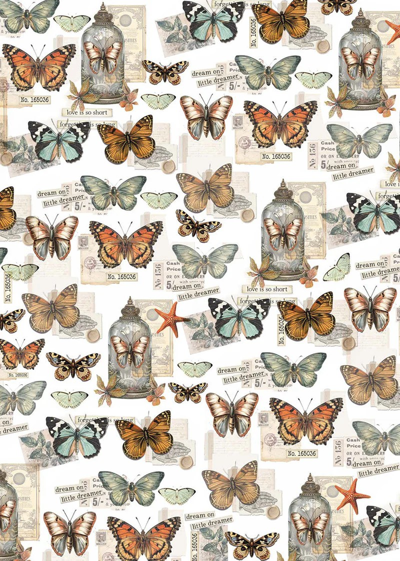 Ciao Bella Vellum Cabinet Of Curiosities Paper - Patterns A4 6pc, CBV024