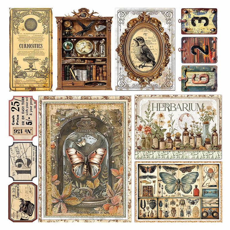 Coming Soon - Ciao Bella 6x6 Fussy Cut Vellum 6Pc - Cabinet of Curiosities, CBVQ024