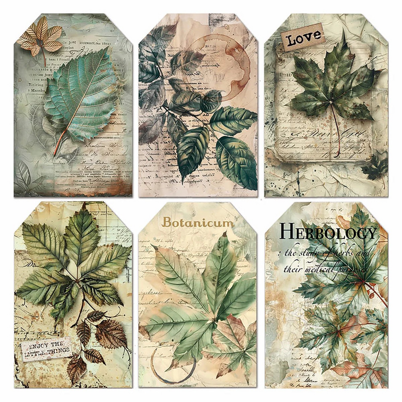 Coming Soon - Ciao Bella 6x6 Fussy Cut Vellum 6Pc - Cabinet of Curiosities, CBVQ024