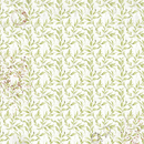 Ciao Bella 6x6 Fussy Cut Vellum 6Pc - Cabinet of Curiosities, CBVQ024