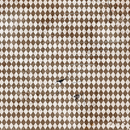 Ciao Bella 6x6 Fussy Cut Vellum 6Pc - Cabinet of Curiosities, CBVQ024