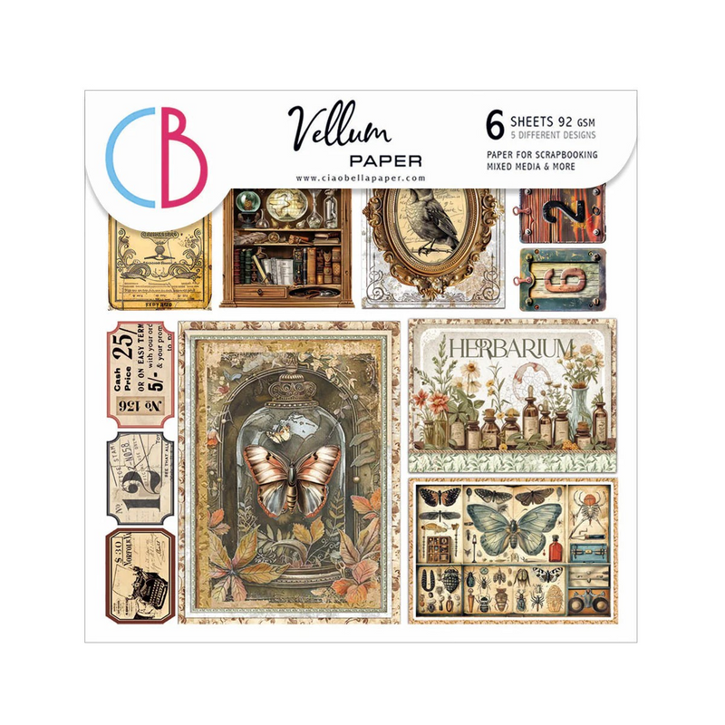 Coming Soon - Ciao Bella 6x6 Fussy Cut Vellum 6Pc - Cabinet of Curiosities, CBVQ024