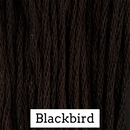 Classic Colorworks 6-Strand Cotton Floss - Blackbird, CCT-164
