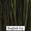 Classic Colorworks 6-Strand Cotton Floss - English Ivy, CCT-179