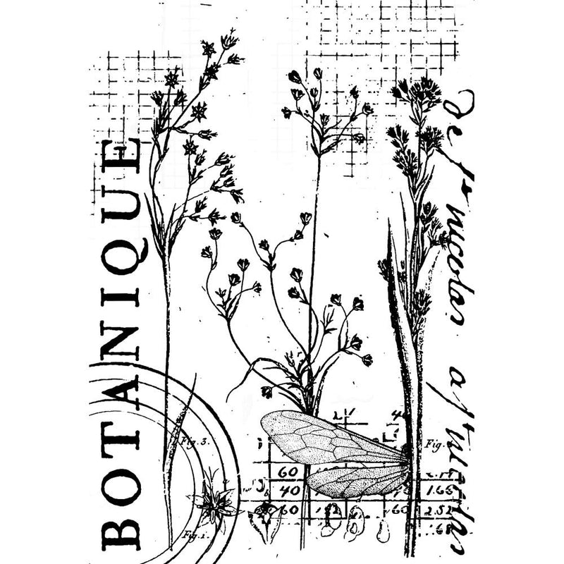 Creative Expressions Stamp Set - Botanical Collage, CEC1030 by: Sam Poole