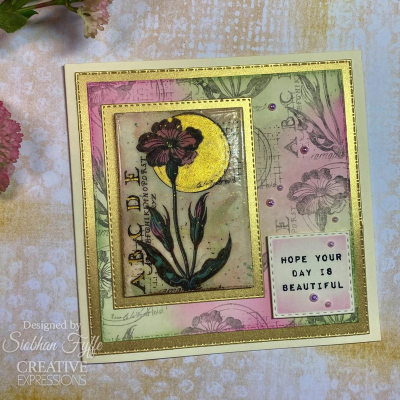 Creative Expressions 4x6 Clear Stamp Set - Bloom, CEC1081 by Sam Poole