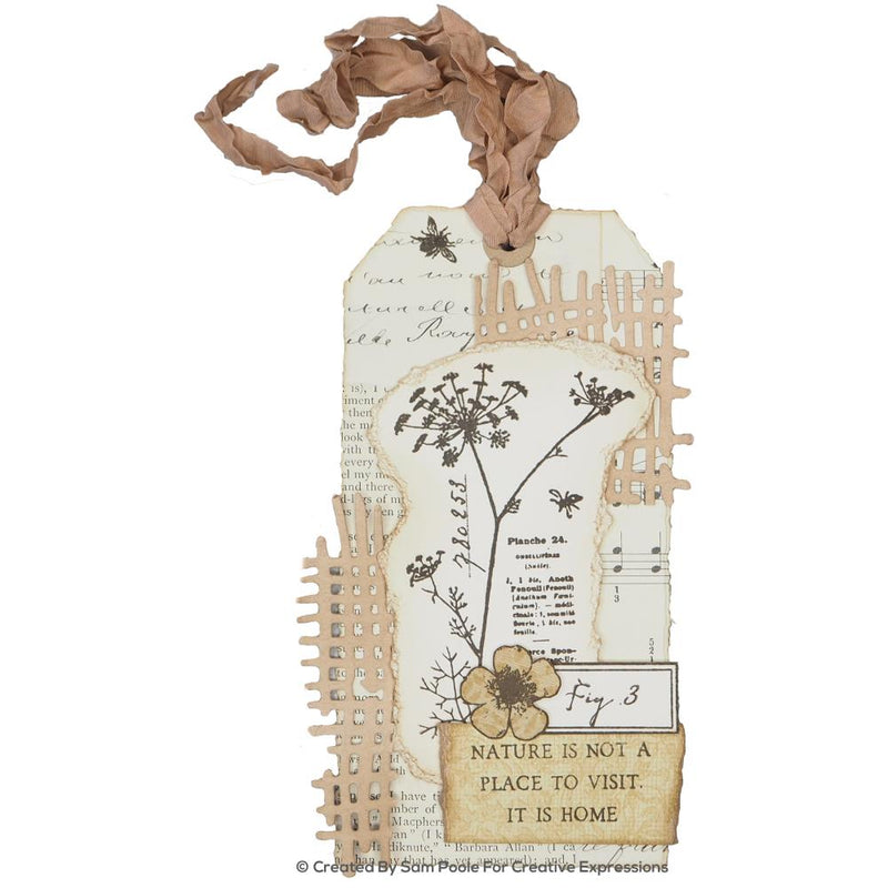 Creative Expressions Dies - Shabby Basics - Cheesecloth, CEDSP002 by: Sam Poole