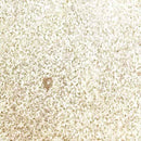 Lindy's Gang Chunky Embossing Powder - Chrome Doesn't Pay, CEPCDP