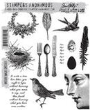 Stampers Anonymous Stamp Set - Nature Walk, CMS181 by Tim Holtz