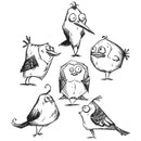 Stampers Anonymous Stamp Set - Bird Crazy, CMS212 Tim Holtz