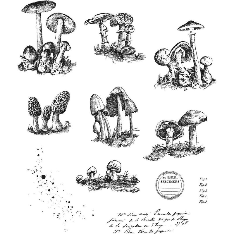 Stampers Anonymous Stamp Set - Tiny Toadstools, CMS377 by: Tim Holtz