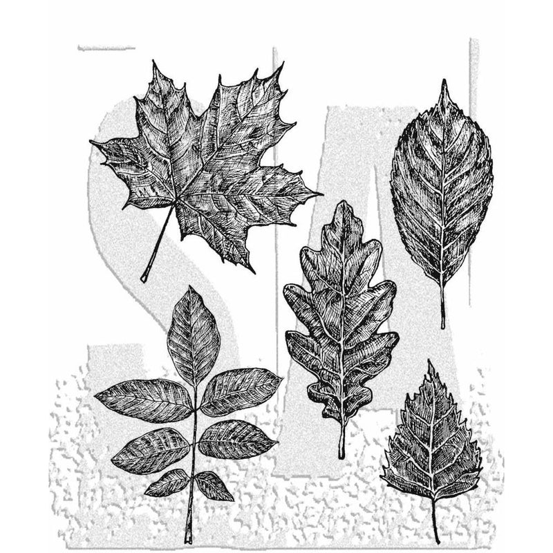 Stampers Anonymous Stamp Set - Sketchy Leaves, CMS467 by: Tim Holtz