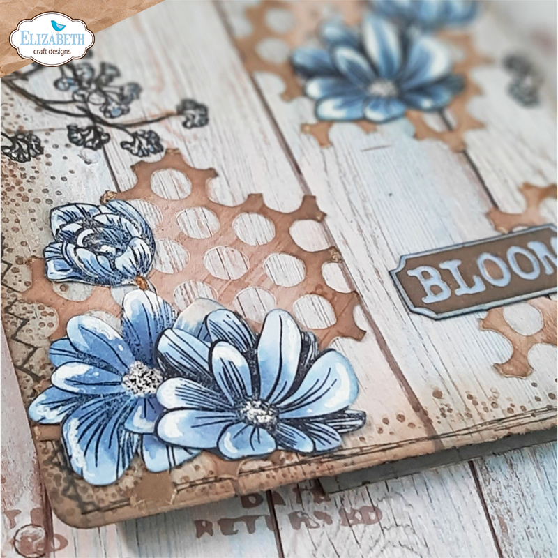 Elizabeth Craft Designs Clear Stamp & Die Sets - Stitched Borders/Border Flower, cs345/2114