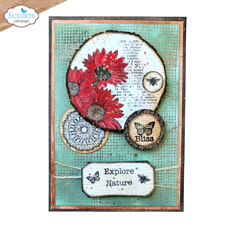 Elizabeth Craft Designs Clear Stamp Set - Playful Textures, CS386