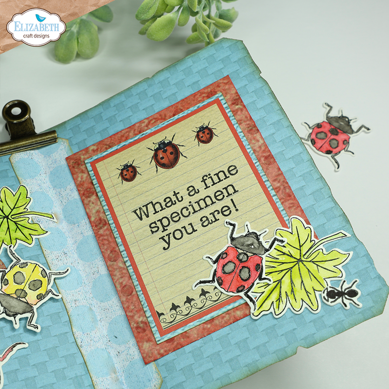 Elizabeth Craft Designs Clear Stamp Set - Playful Sentiments, CS403