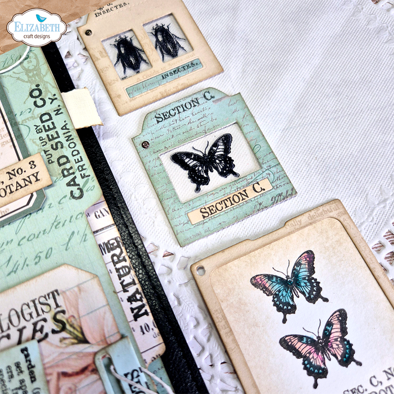 Coming Soon - Elizabeth Craft Designs Stamp Set - Postage Stamps 3, CS418