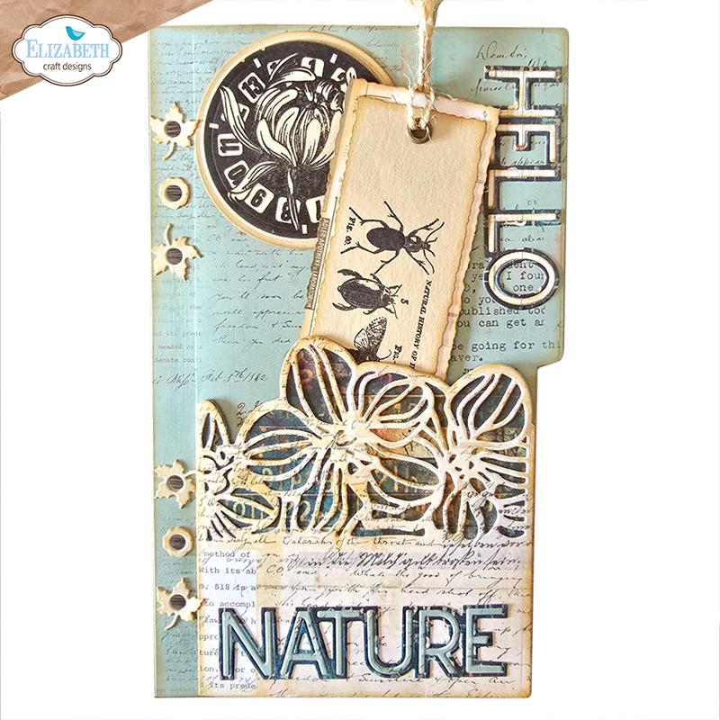 Coming Soon - Elizabeth Craft Designs Stamp Set - Wildflower, CS419
