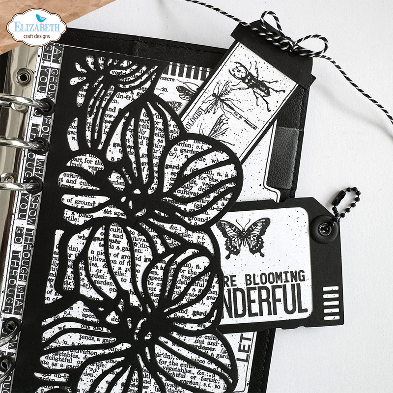 Coming Soon - Elizabeth Craft Designs Stamp Set - Wildflower, CS419