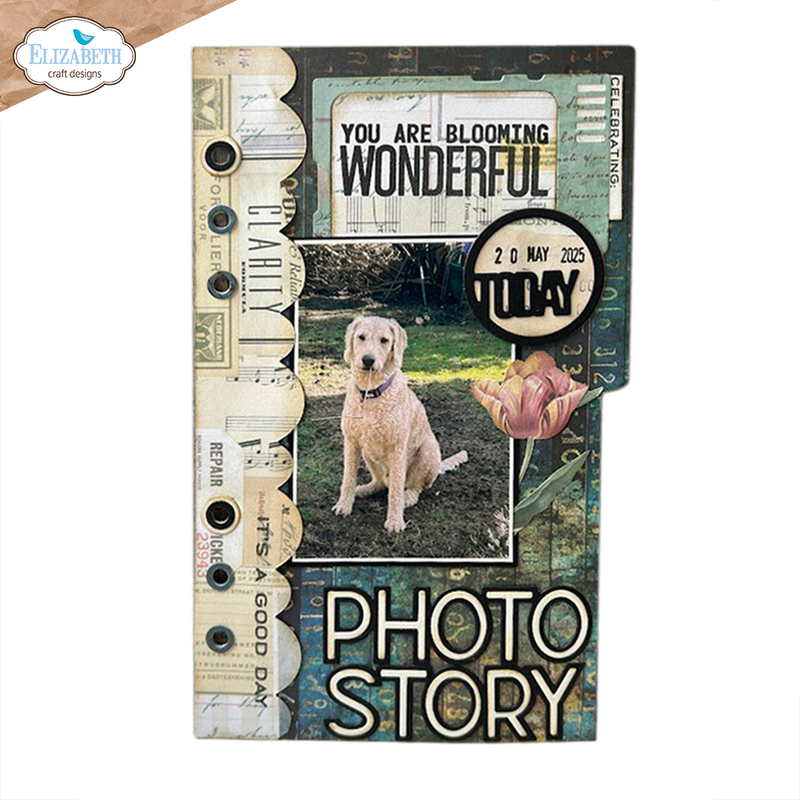 Coming Soon - Elizabeth Craft Designs Stamp Set - Best Kind of Days, CS420