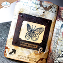 Elizabeth Craft Designs Stamp Set - Perfectly Imperfect, CS458
