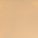 Cosmic Shimmer Antique Sand Paste 50ml - Creamy Mango, CSASPMANGO by Sam Poole