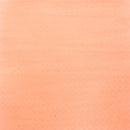 Cosmic Shimmer Botanical Stains 60ml - Sandalwood, CSBOTSAND by Sam Poole