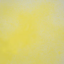 Cosmic Shimmer Botanical Spray 60ml - Lemon Peel, CSBSPRAYLEM by Sam Poole