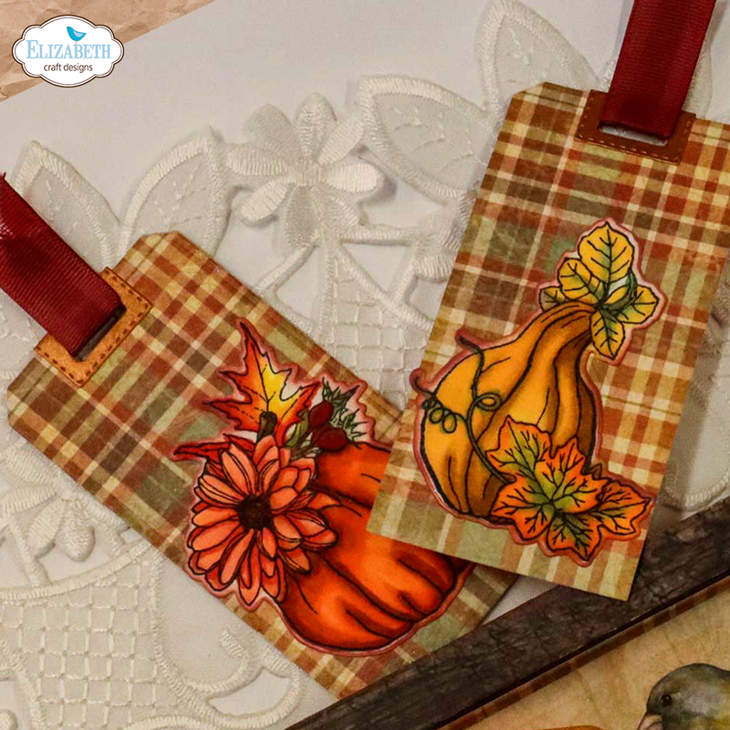 Elizabeth Craft Designs Stamp & Die Set - Autumn Harvest Florals, CSD378 by: Angelica Turner