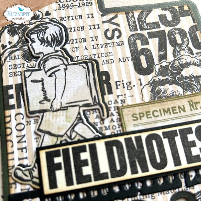 Elizabeth Craft Designs Stamp & Die Set - Field Notes, CSD394