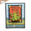 Elizabeth Craft Designs Stamp & Die Set - Beetles & Bugs, CSD402