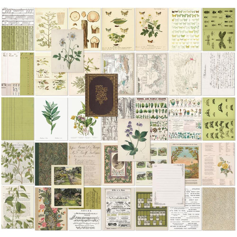 49 & Market Collage Sheets - Color Swatch: Grove, CSG25118