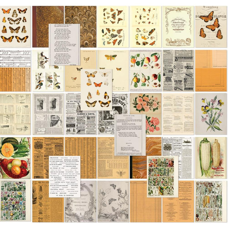49 & Market Collage Sheets - Color Swatch: Peach, CSP24982