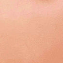 Lindy's Gang Detail Embossing Powder - Cool Man Copper, DEPCMC