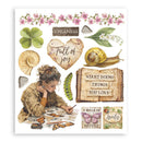 Stamperia Rub-On Selection 6Pgs - All Around, DFLRBXG07