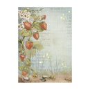 Stamperia Rice Paper 8Pk A6 - Hidden Grove - Backgrounds, DFSAK6038