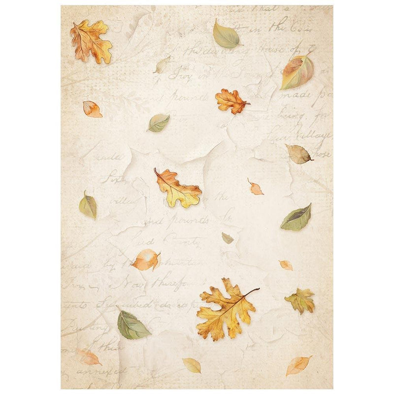 Stamperia Whispering Woods - 8Pc A6 Rice Paper Backgrounds, DFSAK6045