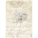 Stamperia All Around A6 Rice Paper 8Pc- Backgrounds, DFSAK6054