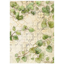 Stamperia All Around A6 Rice Paper 8Pc- Backgrounds, DFSAK6054