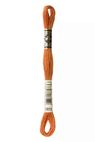 DMC 6-Strand Embroidery Floss - Dark Autumn Gold (Copper), DMC3853