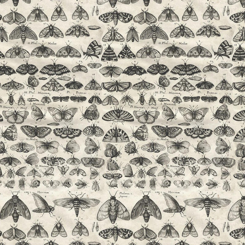 Free Spirit Eclectic Ele. Palette Charcoal FQ Bundle/10, FB4FQTH.CHARCOAL Tim Holtz