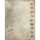 49 & Market 6x8 Collection Pack - Faded Memory Lane, FML-35520