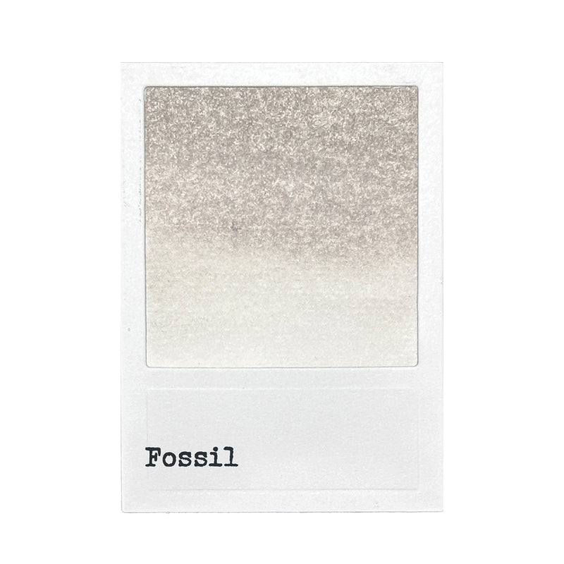 Ranger - 49 & Market Dye Ink Pad - Fossil, FMP92391